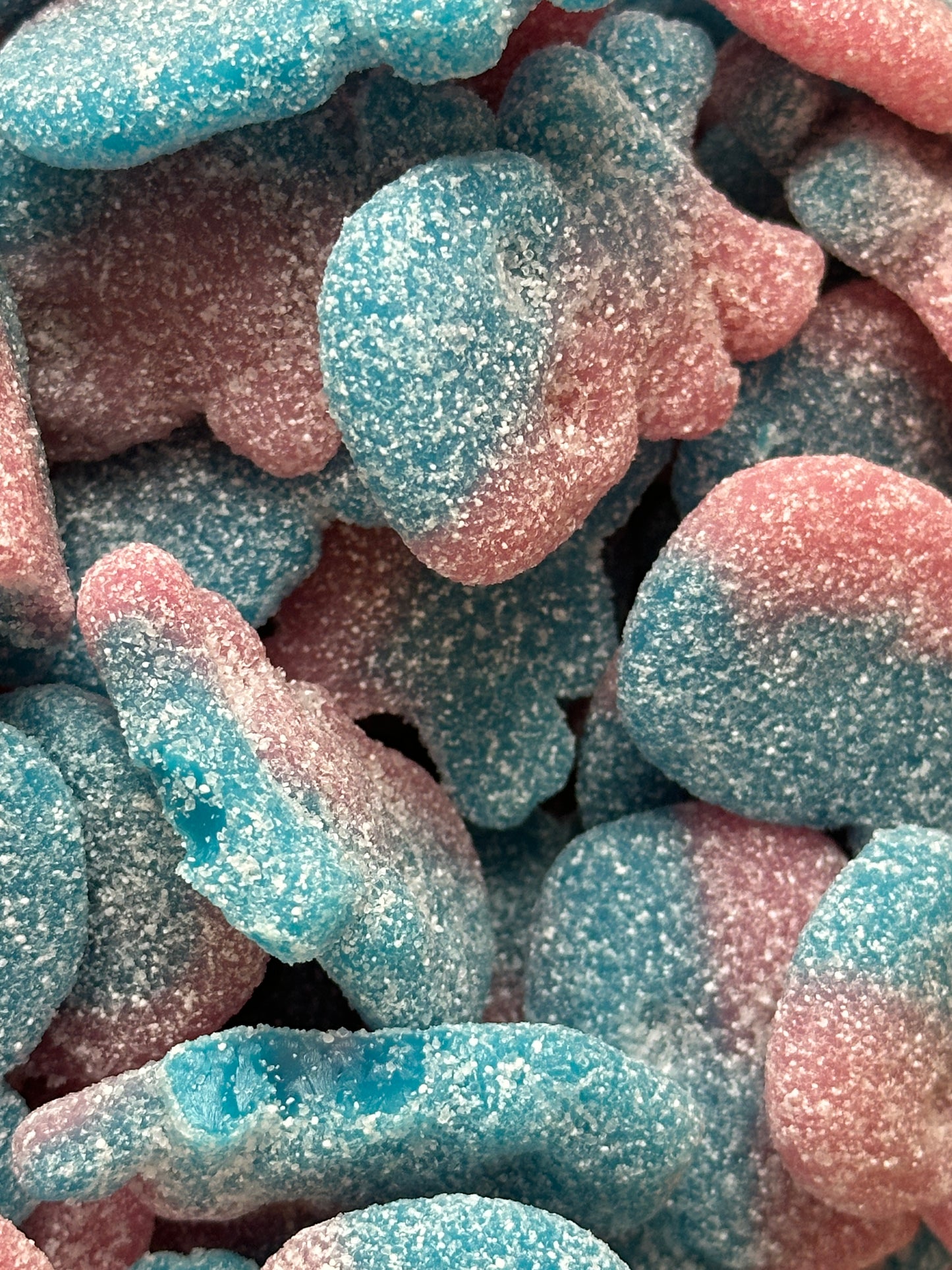 Bubblegum Pirate Skulls