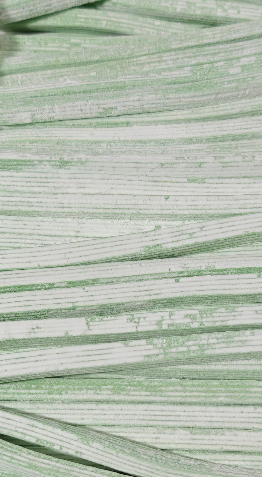 Watermelon Rayaditos