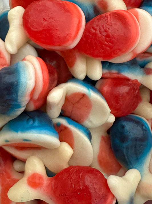Jelly Filled Whales