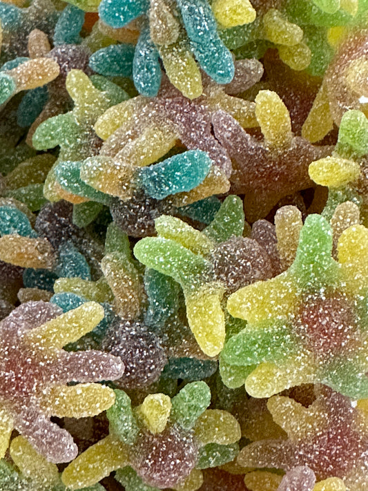 Sour Octopus