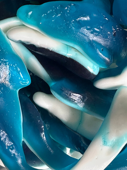 Giant Dolphins