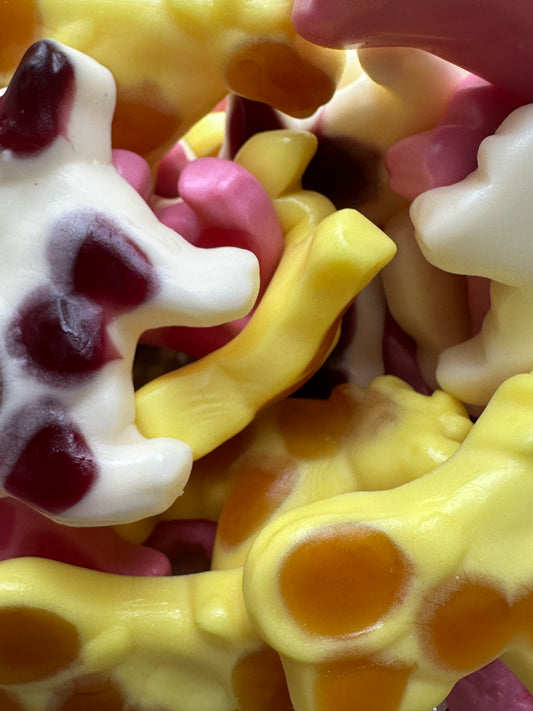 Gummy Cows