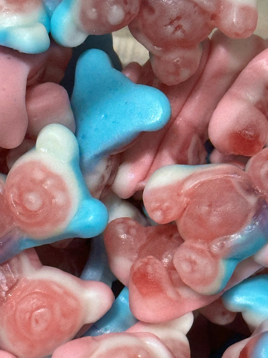 Jelly Filled Teddy Bears