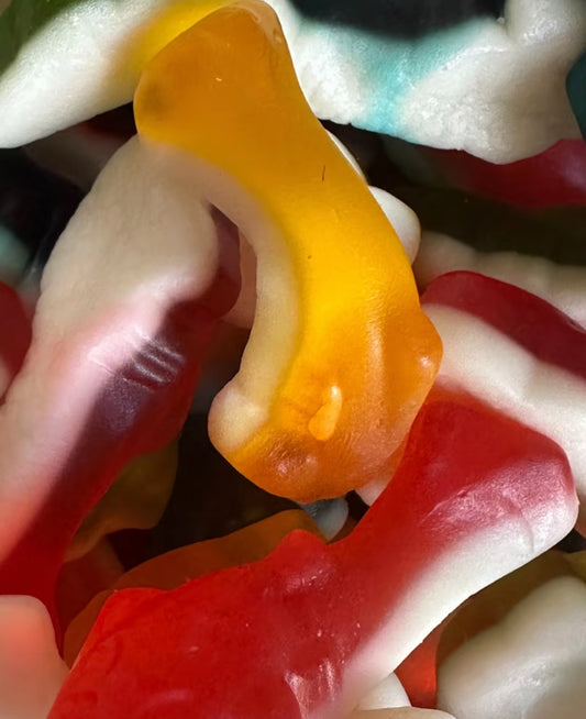 Gummy Sharks